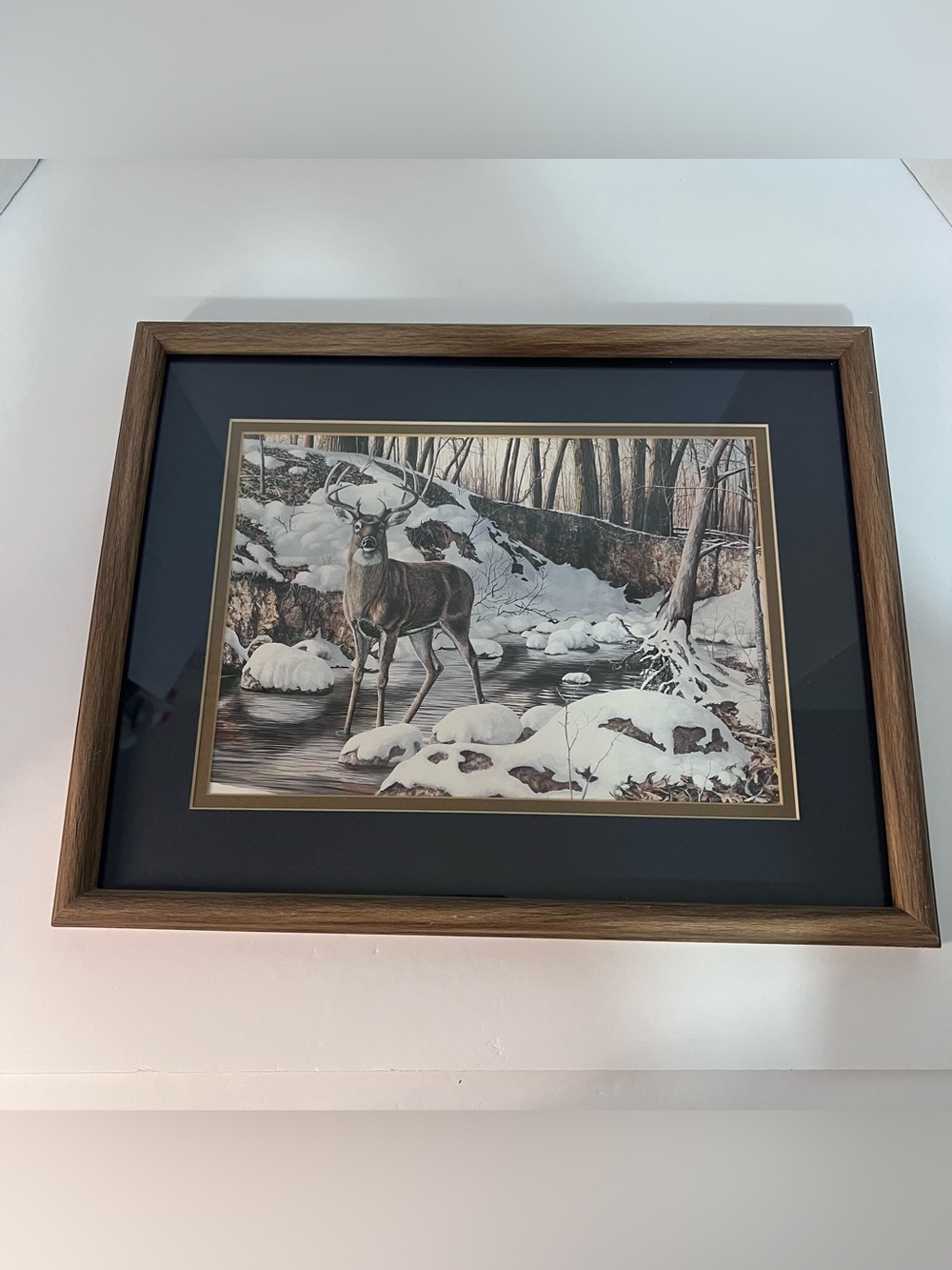 Framed 1992 Jim Hansel Print Standing Guard White Tail Deer in the Woods 12x15
